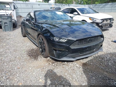 FORD MUSTANG 2019