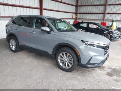 HONDA CR-V 2024