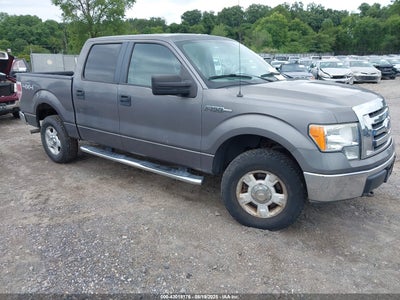 FORD F-150 2010