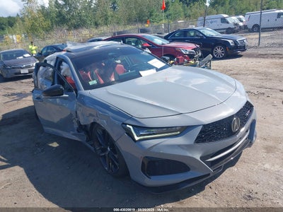 ACURA TLX 2024