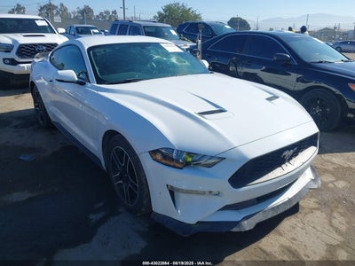 FORD MUSTANG 2019