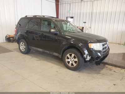 FORD ESCAPE 2011