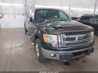 FORD F-150 2013