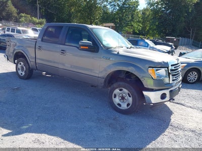 FORD F-150 2013