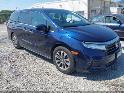 HONDA ODYSSEY 2021