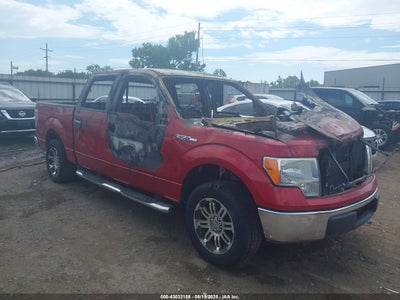 FORD F-150 2010