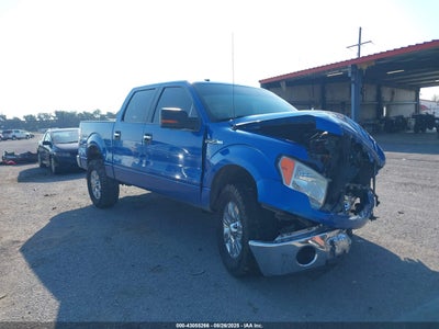 FORD F-150 2010