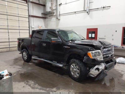FORD F-150 2013