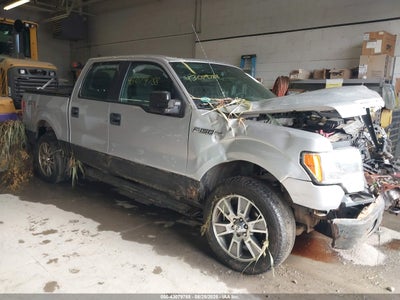 FORD F-150 2014
