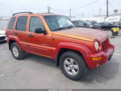 JEEP LIBERTY 2002