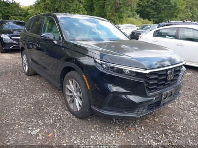 HONDA CR-V 2023
