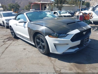FORD MUSTANG 2019