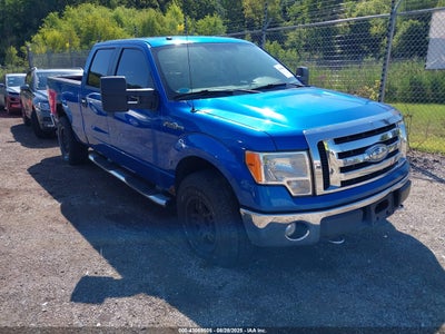 FORD F-150 2009