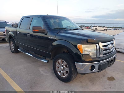 FORD F-150 2009