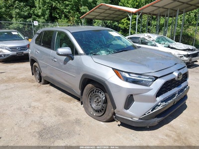 TOYOTA RAV4 2024