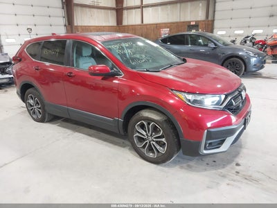 HONDA CR-V 2021