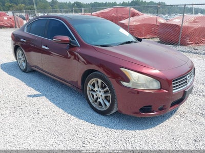 NISSAN MAXIMA 2011