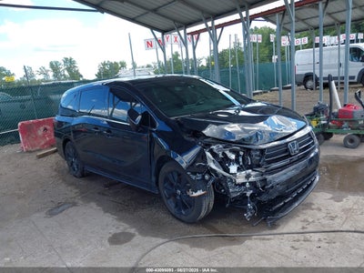 HONDA ODYSSEY 2024