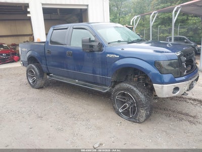 FORD F-150 2012