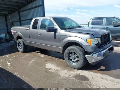FORD F-150 2010
