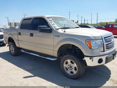 FORD F-150 2010