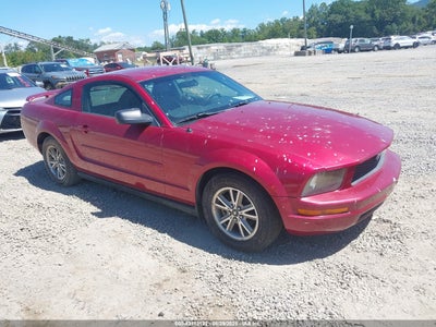 FORD MUSTANG 2005