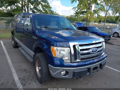 FORD F-150 2010