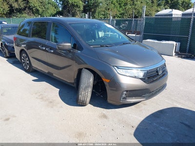 HONDA ODYSSEY 2021