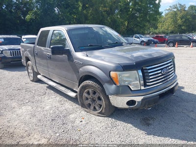 FORD F-150 2010