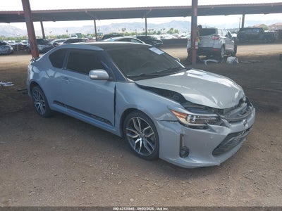 SCION TC 2014
