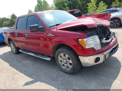 FORD F-150 2013