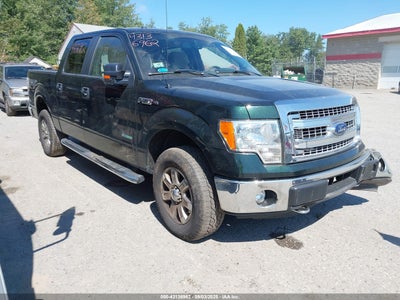 FORD F-150 2014
