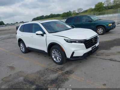 HONDA CR-V 2024