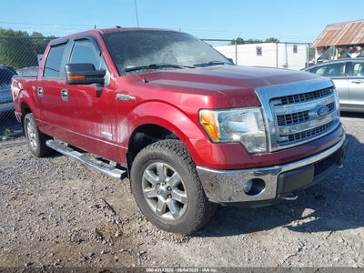 FORD F-150 2014