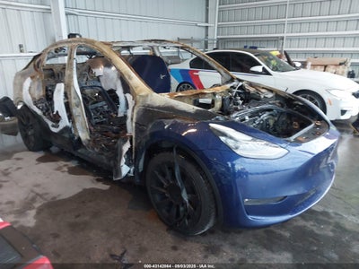TESLA MODEL Y 2021