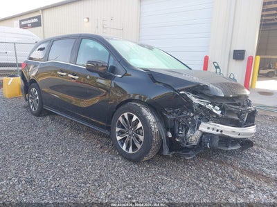 HONDA ODYSSEY 2024