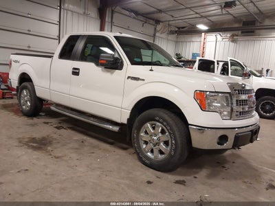 FORD F-150 2014