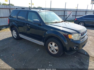 FORD ESCAPE 2010