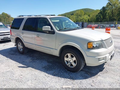 FORD EXPEDITION 2006