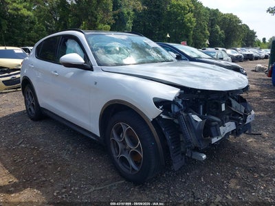 ALFA ROMEO STELVIO 2022