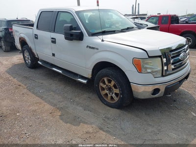 FORD F-150 2009