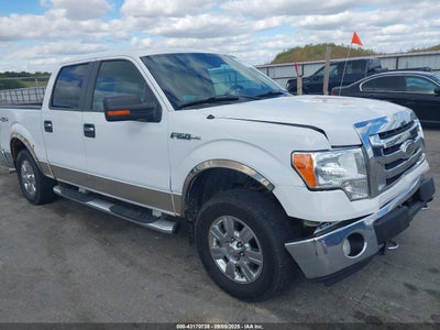 FORD F-150 2009