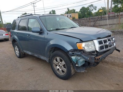 FORD ESCAPE 2010