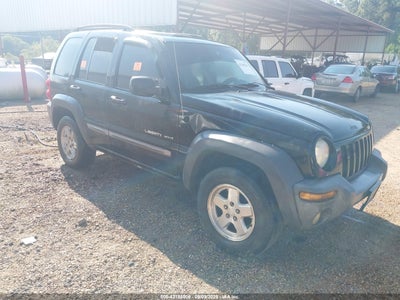 JEEP LIBERTY 2002