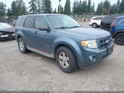 FORD ESCAPE HYBRID 2010