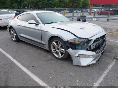 FORD MUSTANG 2019
