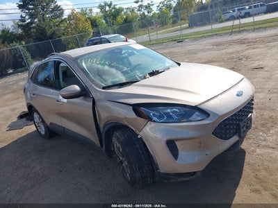 FORD ESCAPE 2021
