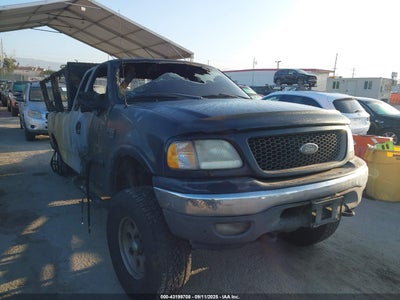 FORD F-150 2002