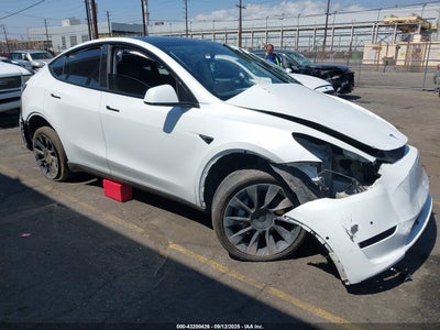 TESLA MODEL Y 2021