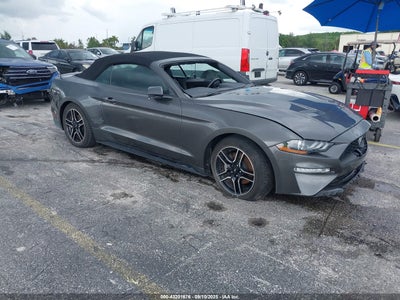 FORD MUSTANG 2019